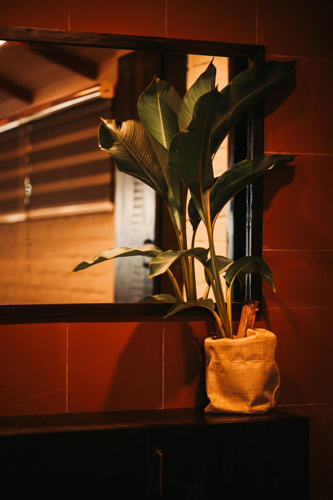 Boho'S Hotel Varkala Eksteriør billede